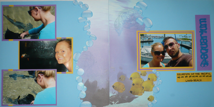 Aquarium Layout by Niccole Burns