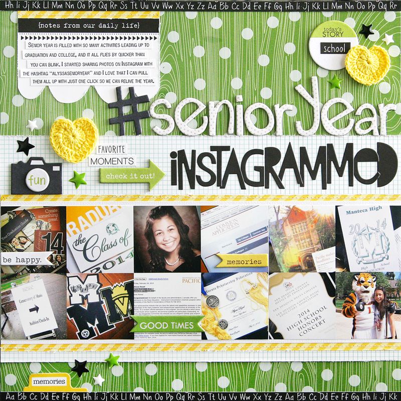 Step-By-Step Monthly Project Sheet: Clear Cuts & Instagram Photos