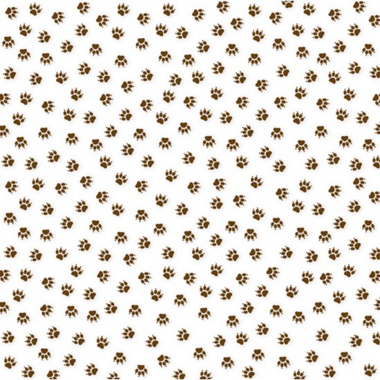 Bella Blvd - Campout - Clear Cuts Transparency - Bear Tracks