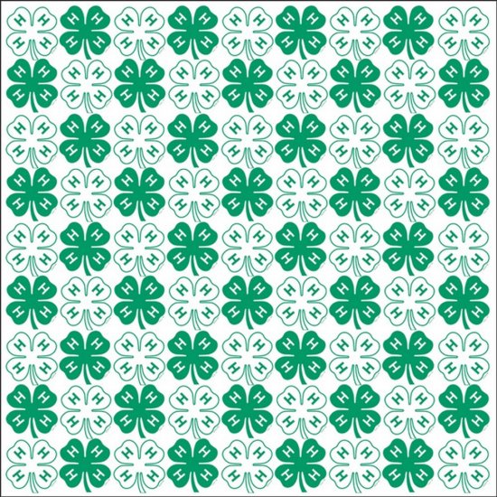 It Takes Two - 4-H Clover Scatter Paper