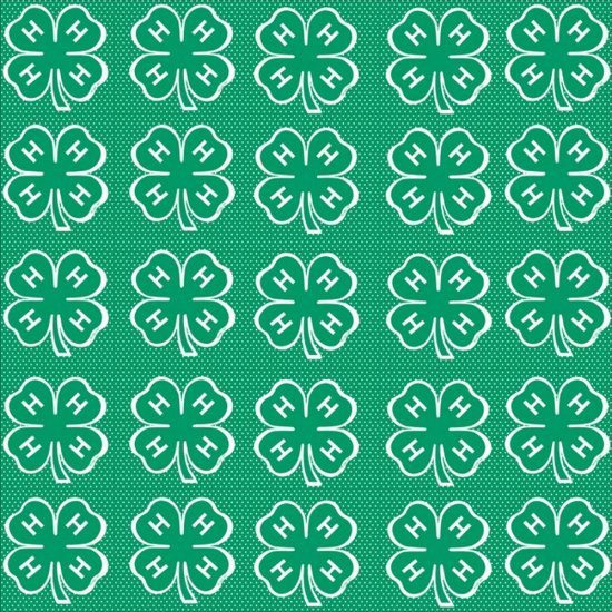 It Takes Two - 4-H Green with White Mini Dots Paper