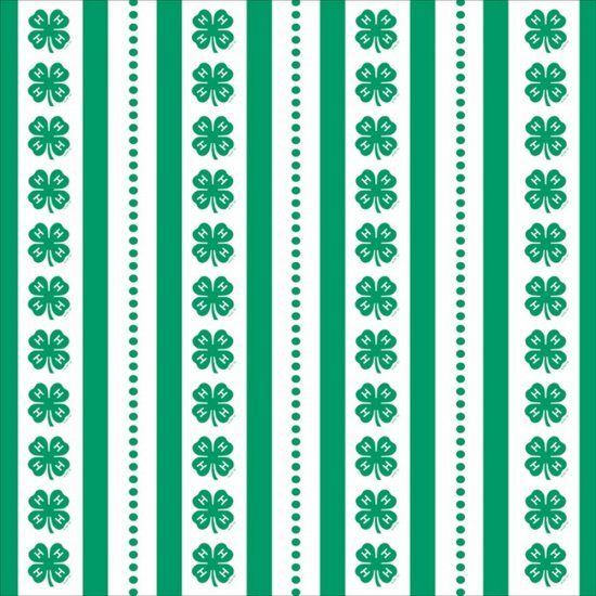 It Takes Two - 4-H Clover Stripe & Dots Paper