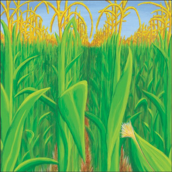 It Takes Two - Corn Field Paper