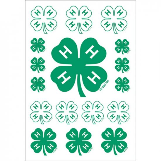 It Takes Two - 4-H Clovers Sticky Sentiments