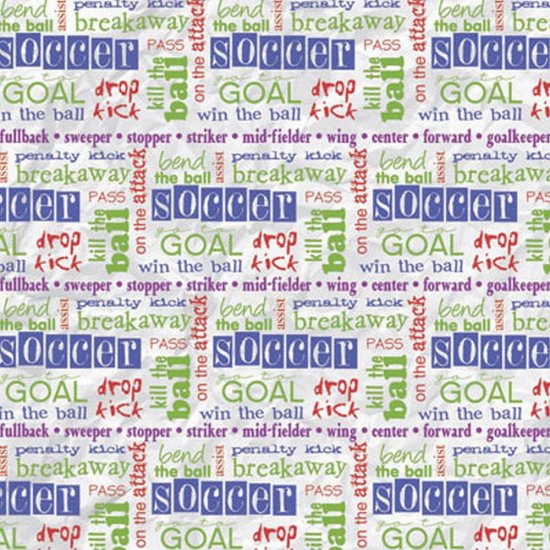 It Takes Two - Soccer Words Vellum