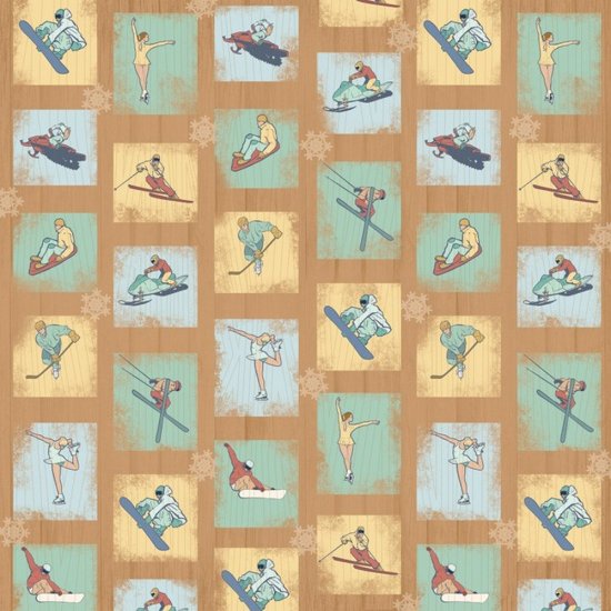 Karen Foster - Winter Sports Paper