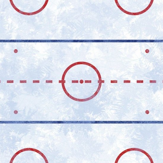 Karen Foster - Hockey Ice Paper