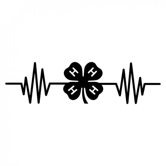 RBS - Border - 4-H Heartbeat