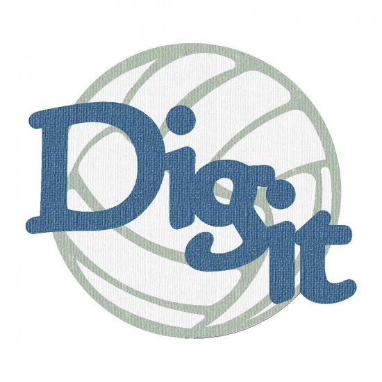 RBS - Dig It Volleyball Layered Title