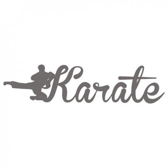 RBS - Karate Brannboll Title