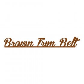 RBS - Brown Trim Belt Title