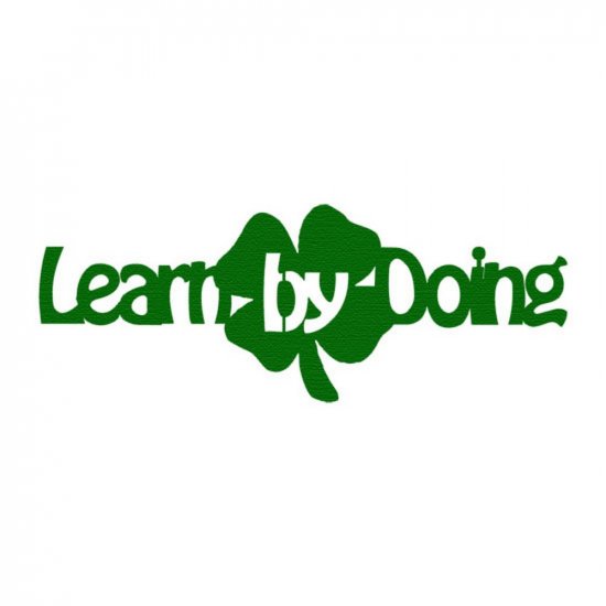 RBS - Learn by Doing Title