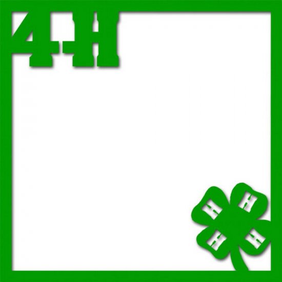 RBS - Overlay - 4-H