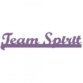 RBS - Team Spirit Title