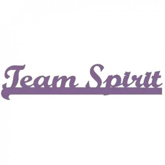 RBS - Team Spirit Title