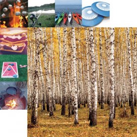 Reminisce - Happy Camper - Forest for the Trees Paper