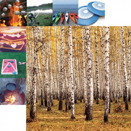 Reminisce - Happy Camper - Forest for the Trees Paper