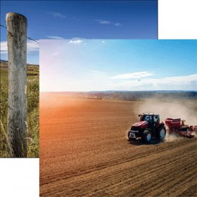 Reminisce - In The Field - Work Paper