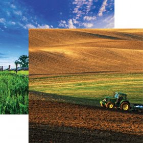 Reminisce - In The Field - Spring Paper