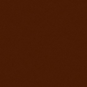 Reminisce - Football Leather Texture Cardstock