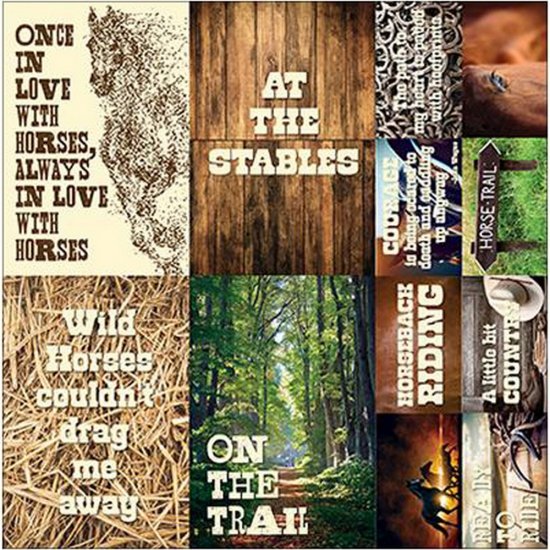 Reminisce - Saddle Up 12x12 Poster Sticker