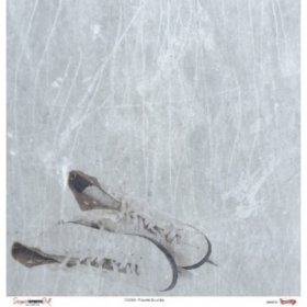 Scrappin' Stuff - Figure Skates Paper