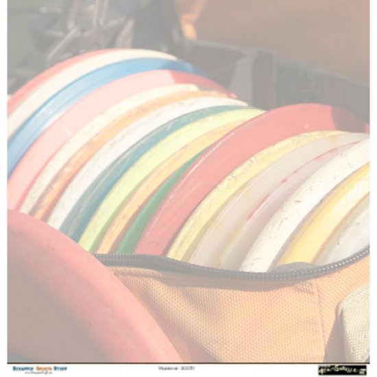 Scrappin\' Stuff - Discs Paper