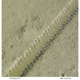 Scrappin' Stuff - Mud Tracks Paper