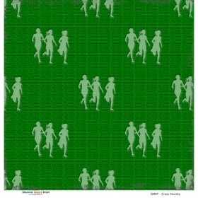 Scrappin' Stuff - Cross Country Paper