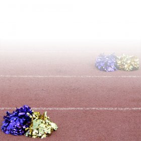 Scrappin' Stuff - Poms on a Field Paper