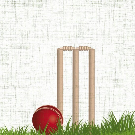 Scrappin\' Stuff - Cricket Paper