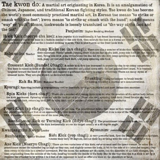 Stamping Station - Tae Kwon Do Words Paper