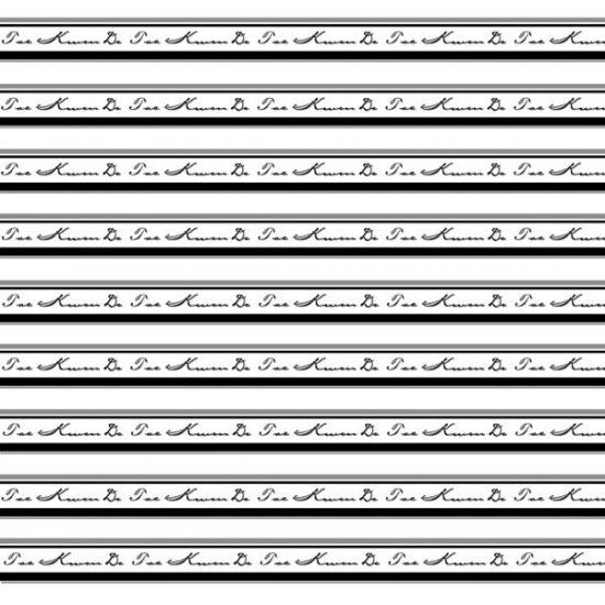 Stamping Station - Tae Kwon Do Fan Paper