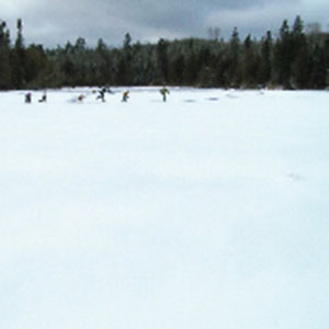 McRice - Ice Skaters Paper